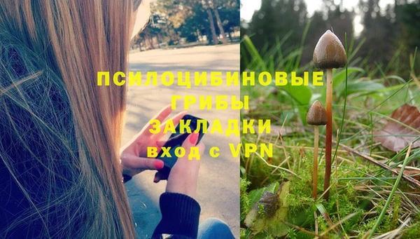 крисы Волоколамск