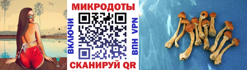 Псилоцибиновые грибы GOLDEN TEACHER  Данков 
