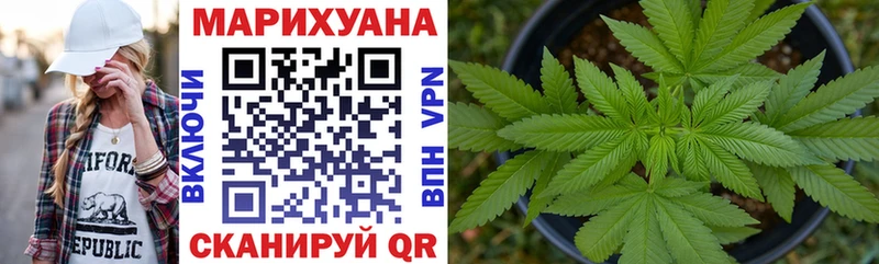 Бошки Шишки VHQ  Данков 
